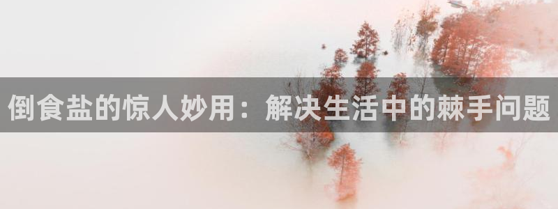 威九国际网站是多少