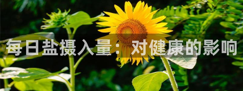 威九国际电子有限公司