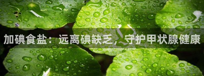威九国际官网在线进入网站查询