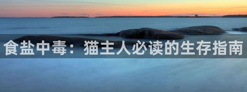 威九国际78mb下