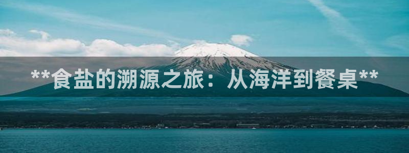 威九国际游戏app网址