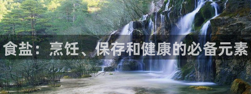 威九国际成长模式怎么样