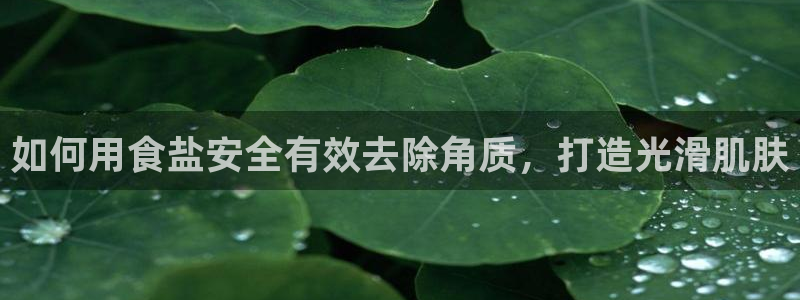 威九国际下载