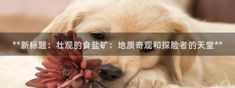 威九国际清砖码头怎么样