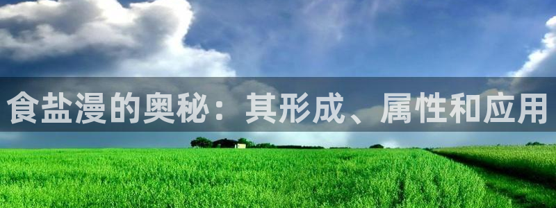 威九国际游戏app(网站)