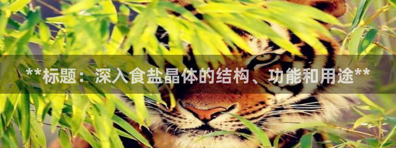 威九国际MV