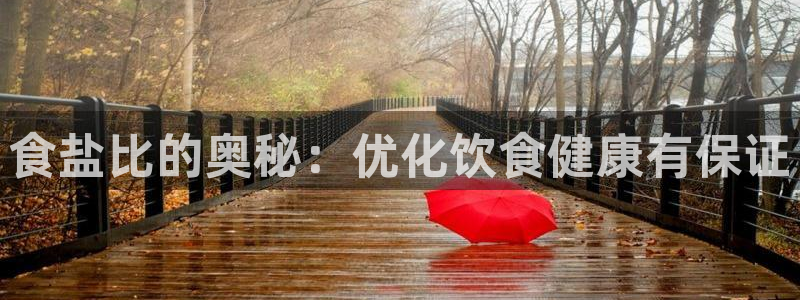 威九国际可以提现吗