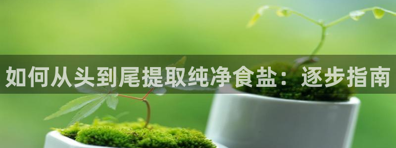 威九国际AN