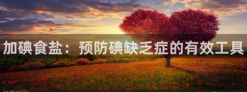威九国际和之前