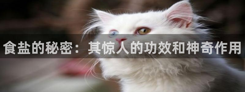 威九国际网站进入产品分类