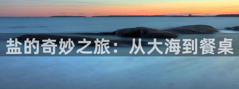 威九国际66m-66