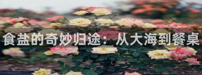 威九国际客服电话