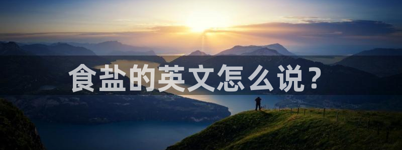 威九国际留学