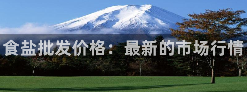 威九国际游戏app(网站)