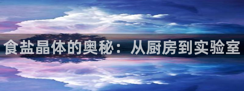 威九国际HP