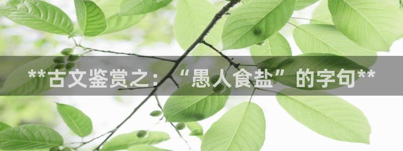 保定威九网络科技有限公司是干嘛的