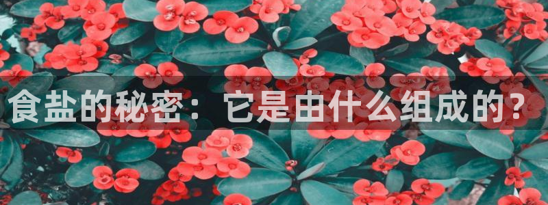 威九国际78mob官网版