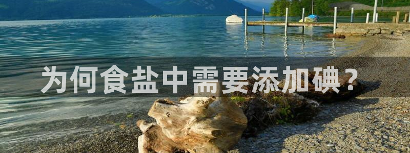 威九国际惠子
