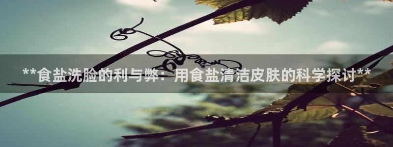 78mapp威九国际网页版