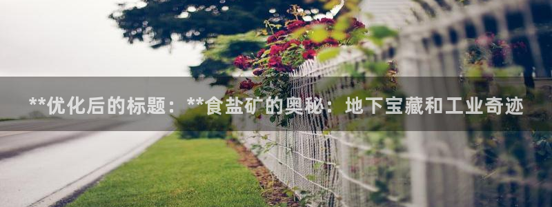 威九国际体育