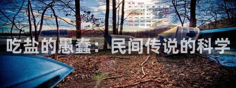 威九国际网站经常打不开网页