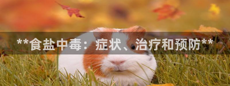 威九国际留学
