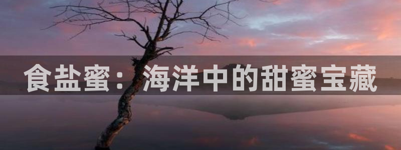 威九国际网站进入客服中心怎么进