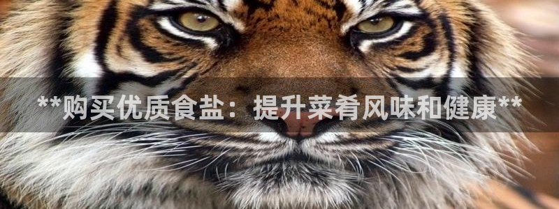 威九国际精彩推荐