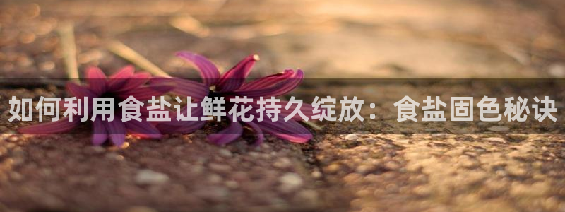威九cp