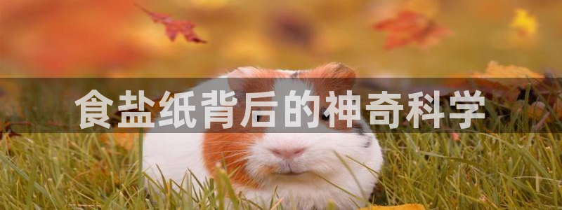 威九国际ft