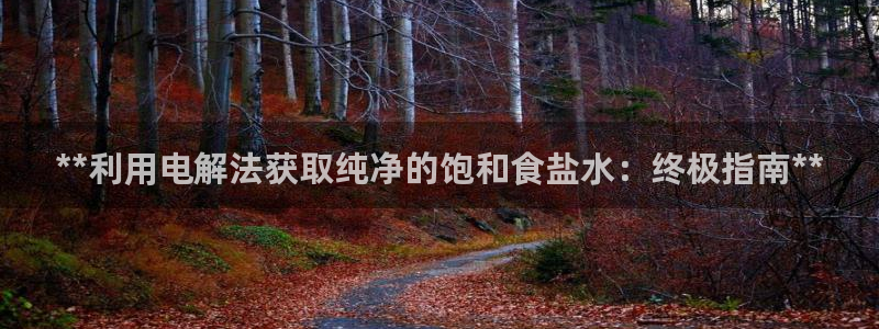 保定威九网络科技有限公司怎么样