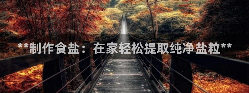 威九国际地址