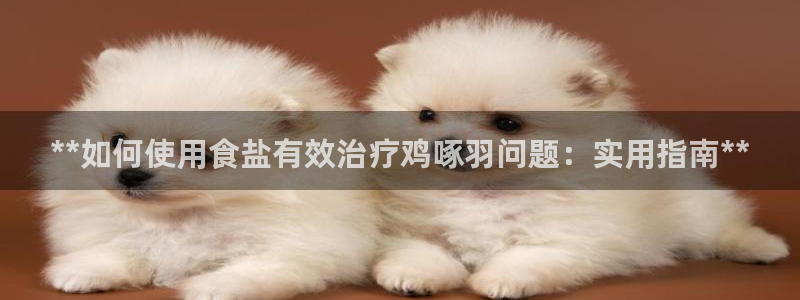 威九国际空降服务怎么样