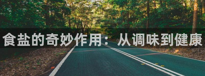 威九国际精忐