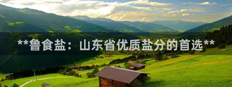 威九国际66m免费版
