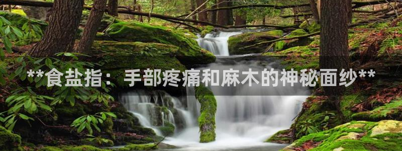 威九国际app网站安全吗