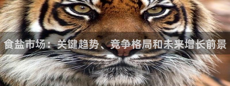 威九国际黑钱