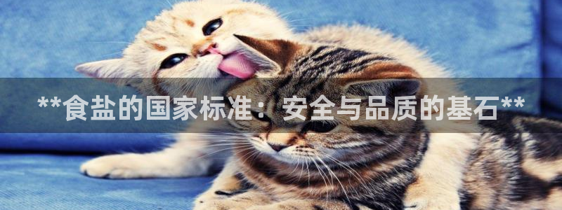 威九国际app网站安全吗
