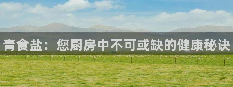 威九国际v96BET