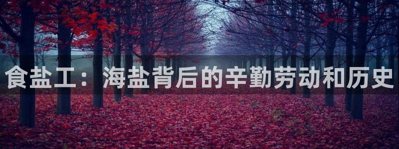 威九国际抡里