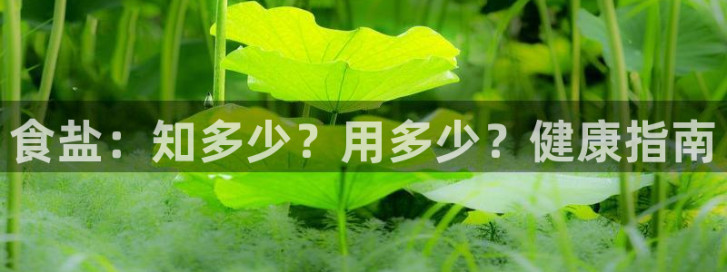 威九国际女演员名单介绍