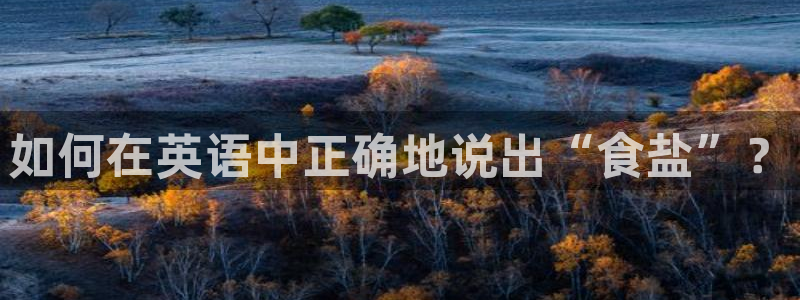 威九code6070