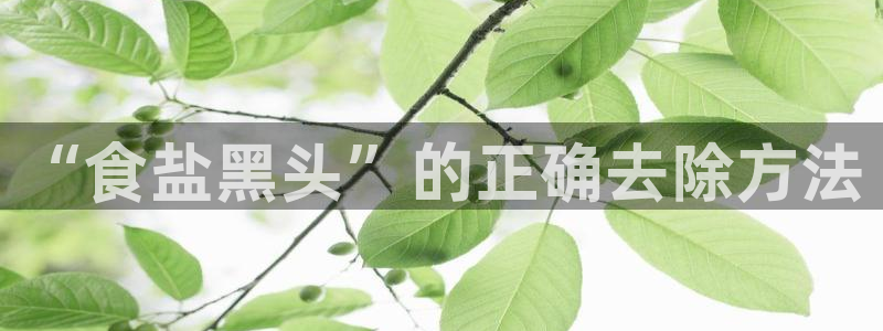 威九国际66m入口