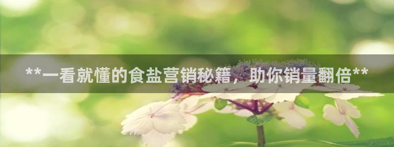 威九国际的金融服务