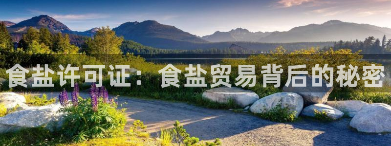 66m威九国际精选