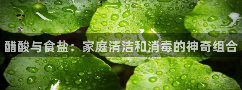 威九国际网站进入AB,AB