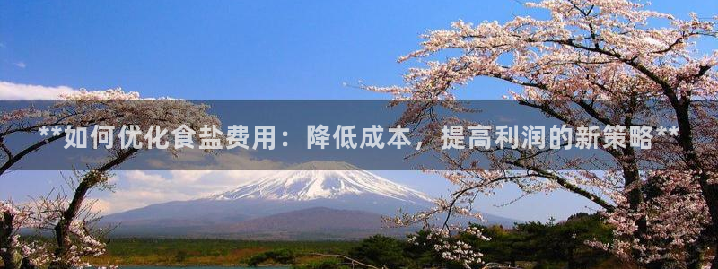 威九国际app哪个地方