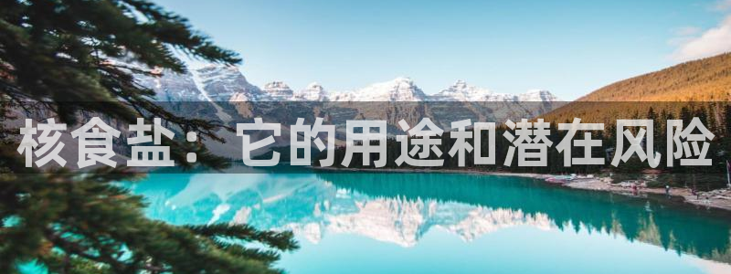 威九国际网站入口地址