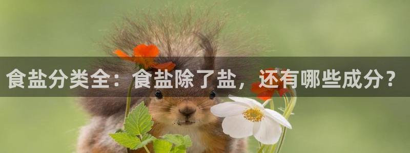 威九国际官方入口