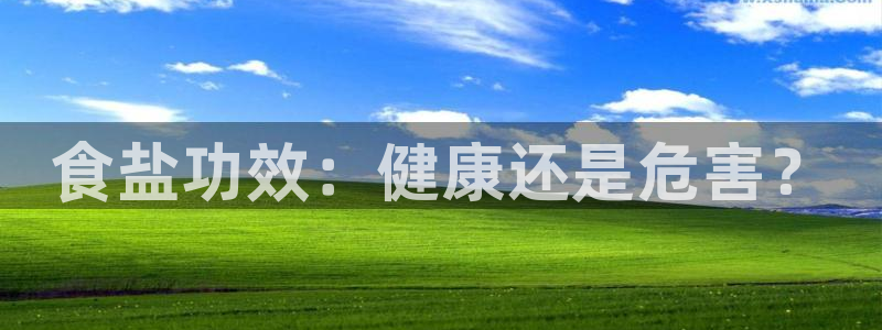 威九国际精彩推荐怎么样